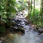 Day Trips from San Juan: El Yunque Rainforest