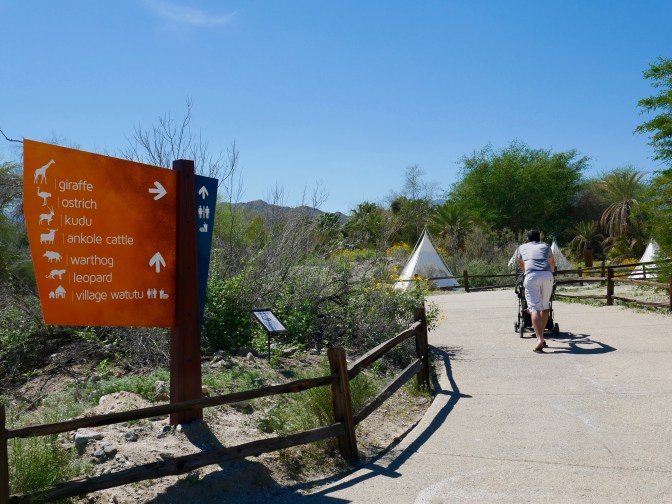 living desert african desert travelnerdplans.jpg