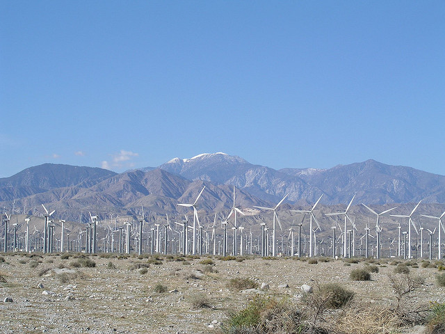 palm springs windmills by david schott