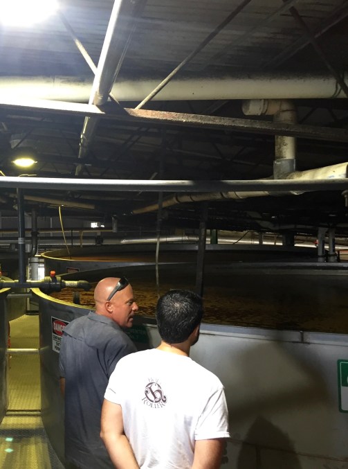 st croix cruzan tour travelnerdplans