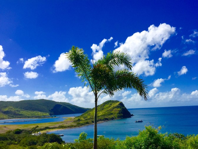 st kitts drive to cockleshell travelnerdplans