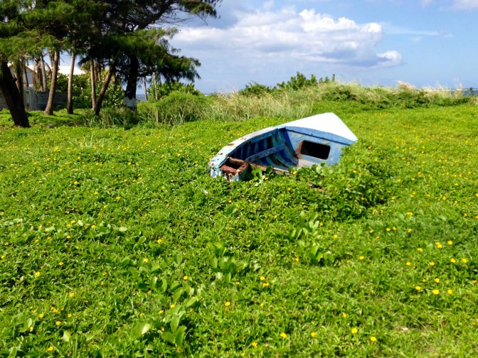 st kitts overgrowth travelnerdplans