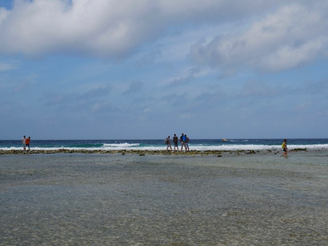 aruba mangel halto beach walk