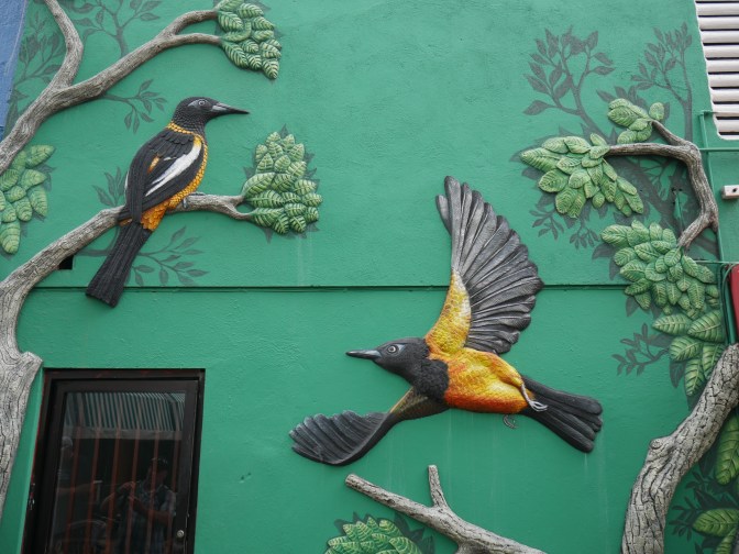 curacao colorful buildings