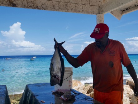 curacao playa piskado fisherman.jpg