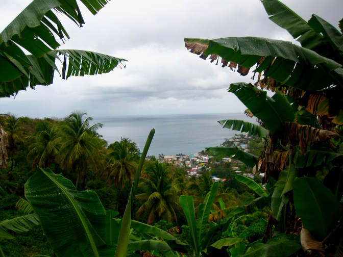 st lucia peeking through the leaves